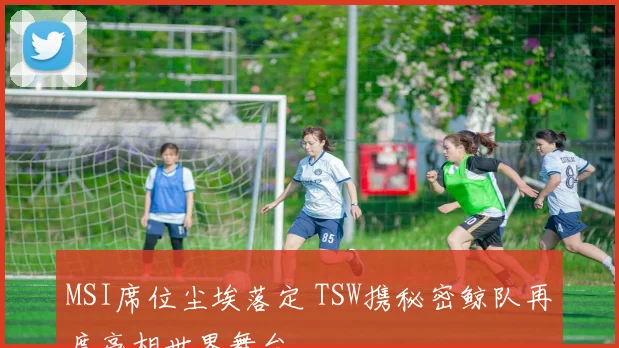 MSI席位尘埃落定 TSW携秘密鲸队再度亮相世界舞台