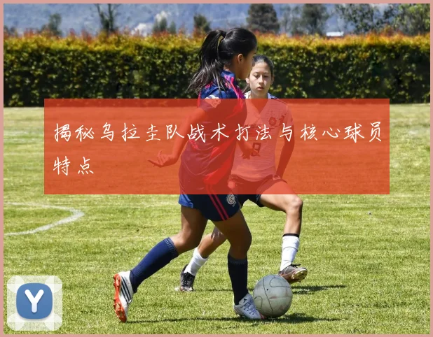 揭秘乌拉圭队战术打法与核心球员特点