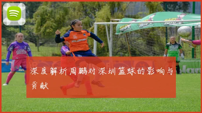 深度解析周鹏对深圳篮球的影响与贡献