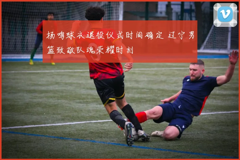 杨鸣球衣退役仪式时间确定 辽宁男篮致敬队魂荣耀时刻