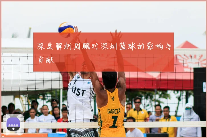 深度解析周鹏对深圳篮球的影响与贡献